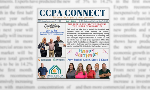 The People Behind the Process: The Heart of Our Office